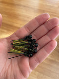 Black cricket