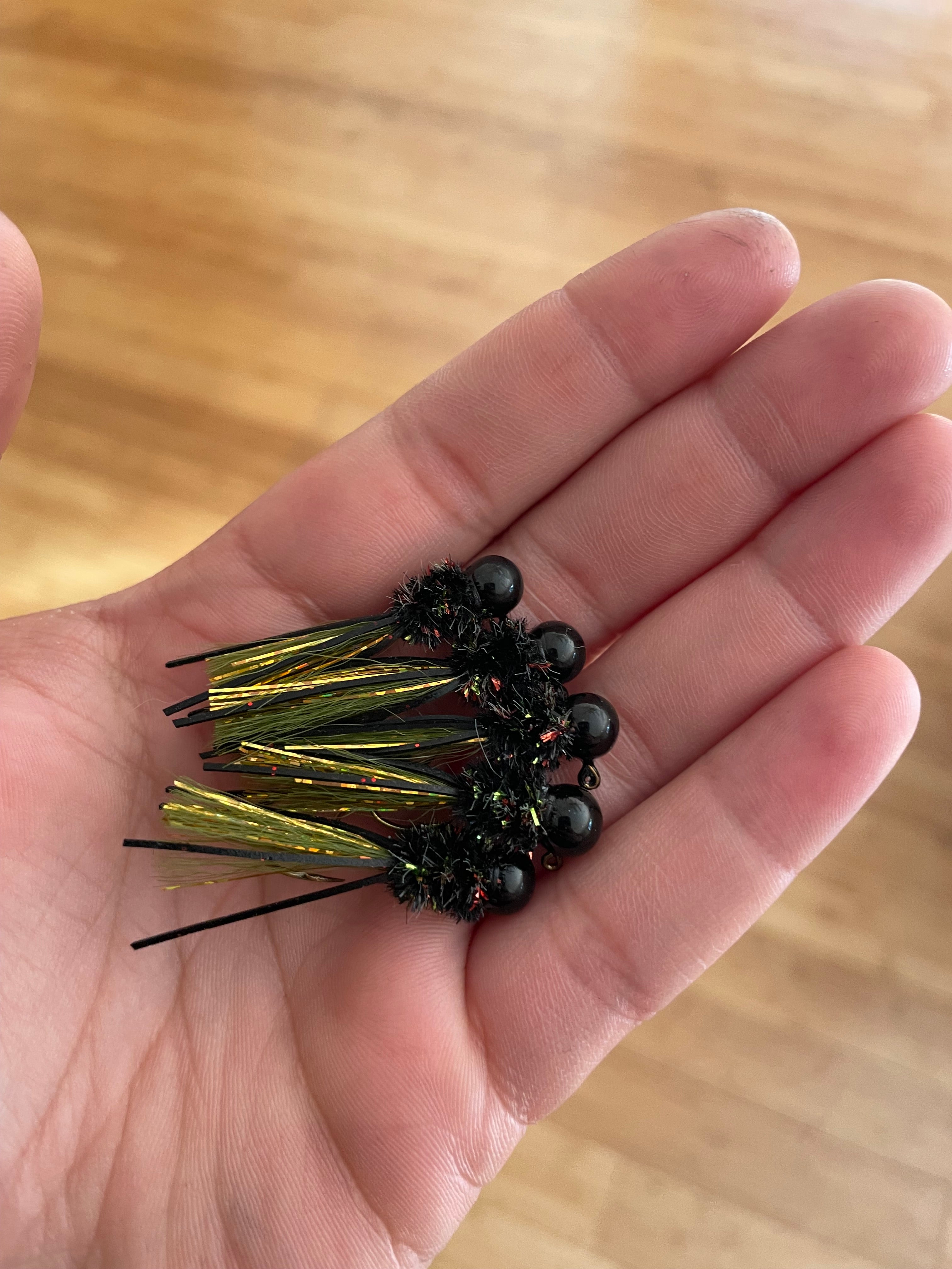 Black cricket